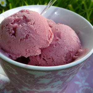 2 glace yaourt fraises armelle ferre 300