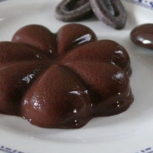 03 creme au chocolat a l agar agar delphinesevin 300