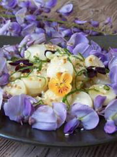 Salade de fleurs de glycine