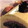 description br�ve de l'image