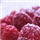 description br�ve de l'image