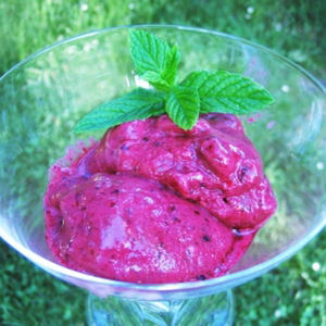 Sorbet aux fruits rouges express