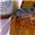 description br�ve de l'image