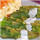 description br�ve de l'image