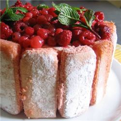 Charlotte rose aux fruits rouges 