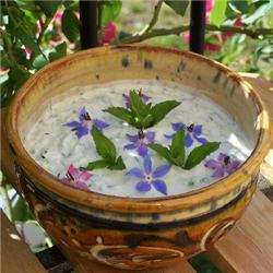 Tzatziki